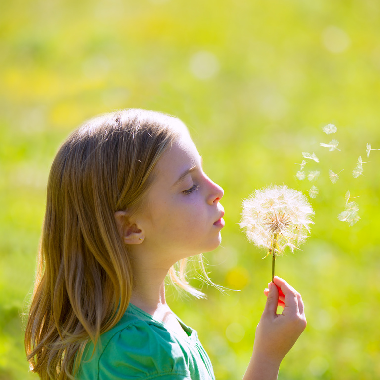 Blond Kid Girl Blowing Dandelion Flower in Green Meadow